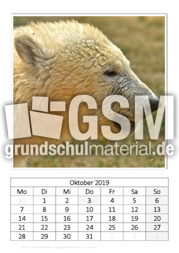 Oktober_Eisbär_1.pdf